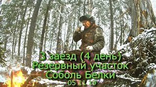 3 заезд (4 день) Резервный участок Соболь Белки 05 11 19
