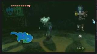 Legend of Zelda Twilight Princess Walkthrough 11 (7/11) "The Master Sword: Lake Hylia"