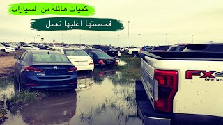 الاف السيارات الحديثة بربع القيمة مرمية في المزاد ولا احد يشتريها ,اغلبها تعمل بعدما فحصتها (ج2)