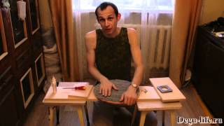 Самодельная беговая тарелка для дегу и шиншилл