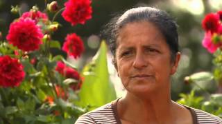 Territorio verde: El encanto y colorido de las flores - 5 de agosto