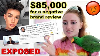 GETTING PAID $85,000 FOR A NEGATIVE REVIEW | THE SECRET WORLD OF INFLUENCERS PART 1