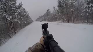Охота на лося Удмуртия. Добыл лося. // Hunting for elk Udmurtia. Got the moose. Hunting in Russia.