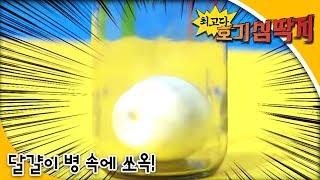 Why - 최고다! 호기심딱지 - 달걀이 병 속에 쏘옥!