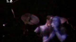 Ψόφιοι Κοριοί - Επιστροφή στη φύση