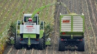 Mais hakselen | T. van Omme en Zn bij Arnhem | Claas Jaguar 840 | Netherlands | 2013.