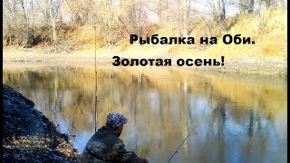 Рыбалка на Оби в Новосибирске. Октябрь 2019 Золотая осень! Рыбалка на карася и плотву.
