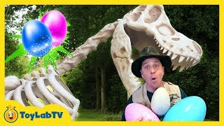 Giant T-Rex Dinosaur Surprise in Kids Dinosaurs Toy Opening