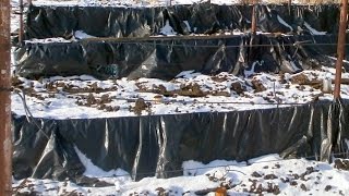 Зачем укрывать виноград на зиму