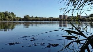 Parcul natural Vacaresti