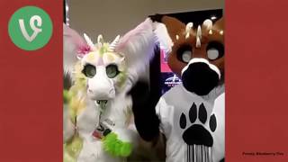 Furry Vine Compilation #2 100+ Vines 2017 ft Telephone, Dash Tiger and More