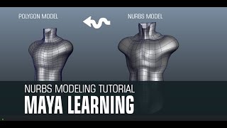 Easy tutorial Of Making Human Torso with Nurbs modeling in Maya