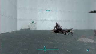 Fallout 4 - Albino Mirelurk Hunter Vs Glowing Mirelurk Hunter
