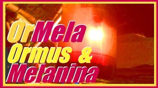 Ormus Melanina Primeras Etapas - Elaborando Ormela