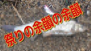 祭りの余韻の余韻