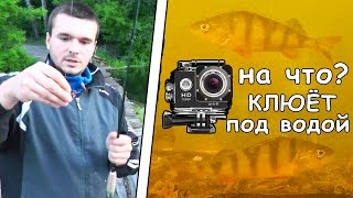 ЧТО ДЕЛАЕТ РЫБА с КРЮЧКОМ / ПОДВОДНЫЕ СЪЕМКИ в СИЛЬНЫЙ ВЕТЕР и ПЕРВАЯ РЫБАЛКА ВЕСНОЙ