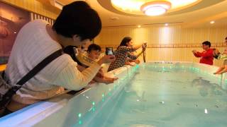 BABY FISH 親水會館 - 2014-12-20 - 飄浮寶寶團+嬰兒游泳課