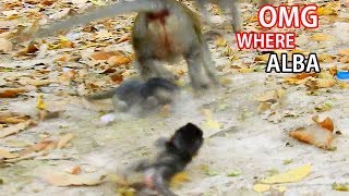 TERRIFIED ...!! What happen on poor Alba | Anna teach Alba new lesson for Tobais.