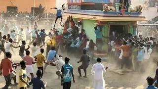2020 some un forgotable jallikattu funny | 2020 ஜல்லிக்கட்டு நம்மை சிரிக்க வைக்கும் சில பதிவுகள்