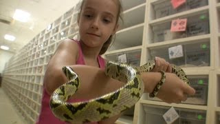 My Daughter Invades BHB Reptiles! [SNAKE PARADISE]