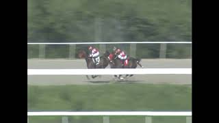 LUCKY STRIDE - Vence A Los Machos - 10 Enero 2020