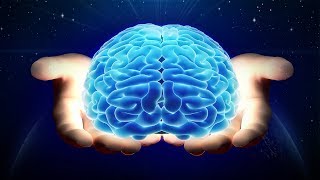 科学家的恶梦：宇宙或是一个大脑思维！