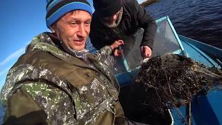 ВОТ ЭТО ВПЁРЛО КАМБАЛЫ В СЕТИ