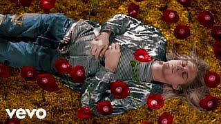 Nirvana - Heart-Shaped Box (Official Director's Cut)