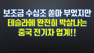 보조금 수십조 쏟아 부었지만테슬라에 완전히 박살나는 중국 전기차 업계!!