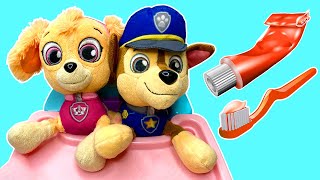 Paw Patrol Skye Chases Puppies Brush Their Teeth