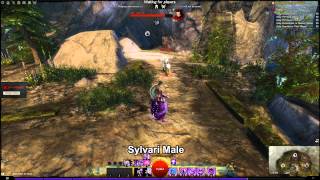 GW2 Chronomancer skill animations on all races/gender
