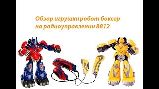 Робот боксер на радиоуправлении 8812