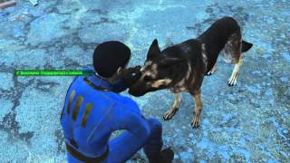Fallout 4 Test FPS gt740m 2gb
