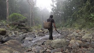 [4K] Six months, the day of Returning, survival in the tropical rainforest, ep 92