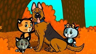Лучшие друзья котят - (Чужая собака) | Мультфильм для малышей