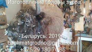 Изготовление головы зубра.