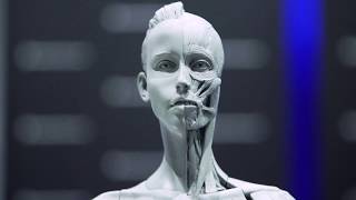 Anatomy Tools' Sculpting Reference Maquettes