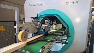Microtec Goldeneye Multi-Sensor Quality Scanner for lumber