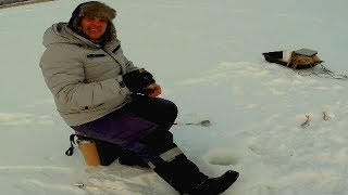 ОКУНЬ СХОДИТ С УМА ОТ ЭТОЙ БЕЗМОТЫЛКИ!!! Жор окуня на безмотылку!!