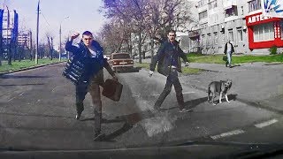 Бонус-видео. Пешеходы Николаева. Весело под колеса#копнапозитиве