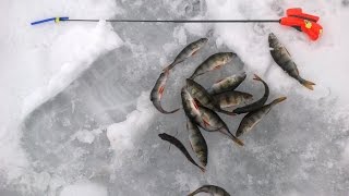 Фрагмент. Зимняя рыбалка на озере Велье 19.03.2017. Часть 2