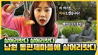 [전북이좋다]남원동편제마을 #동편제_판소리 #마을체험 #산양 #치즈 #흑돈_지라산흑돼지