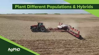Plant Different Populations & Hybrids (From Ag PhD Show #1136 - Air Date 1-12-20)