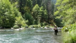 Fly Fisherman Watches Bigfoot Watch Him Near McCloud River..., And Then Follows Him!