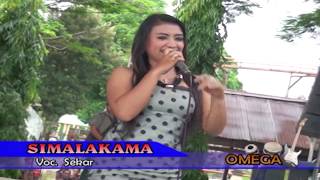 FULL HD - biduan paling montok goyang BINAL - simalakama || dangdut koplo HOT