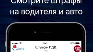 Оплатить штраф в telegram. Пробить номер машины. бот телеграмм номер машины