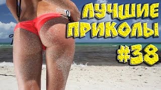 Лучшие приколы #38 ║ Coub & Fails video