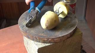 Фидерная кормушка для самых ленивых .