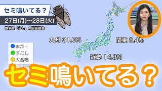 セミもびっくりの早い梅雨明け 鳴き声聞こえますか？