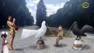 Выставка голубей, Крюковские голуби, Кременчугские голуби, голуби Андрея Изюмова